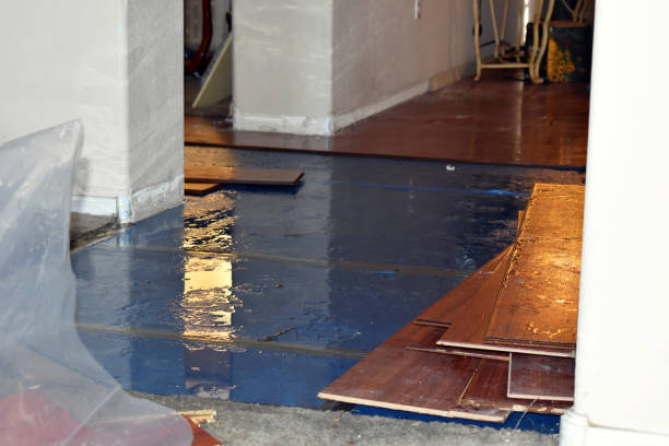 Professional Emergency Water Damage technician working in Earth, TX